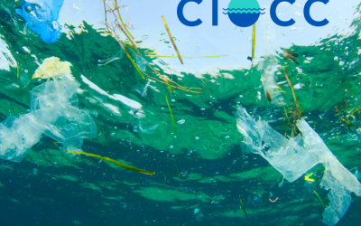 The Clean Oceans through Clean Communities (CLOCC) Programme Update