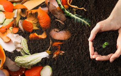 International Mother Earth Day: The link between sustainable cities and healthy soils